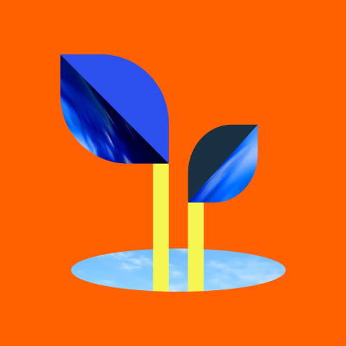 Illustration d'une plante qui pousse