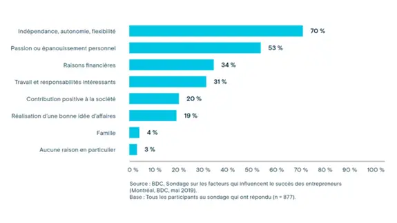 Graphique pour blogue comment devenir un entrepreneur: Motivation