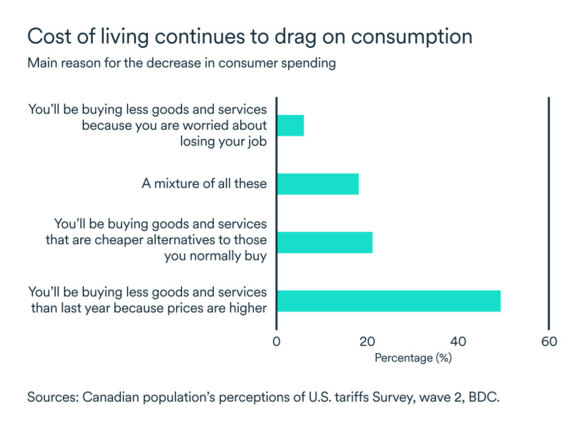 MEL may 2025 graph: Main reason for the decrease in consumer spending