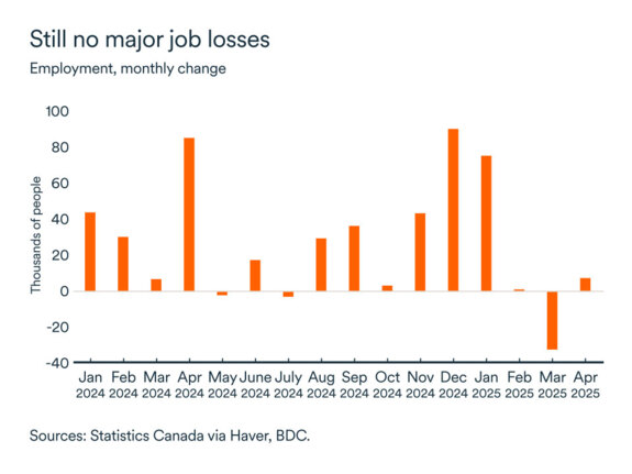 MEL may 2025 graph: Employment